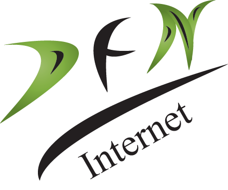 Dhaka fiber net ltd
